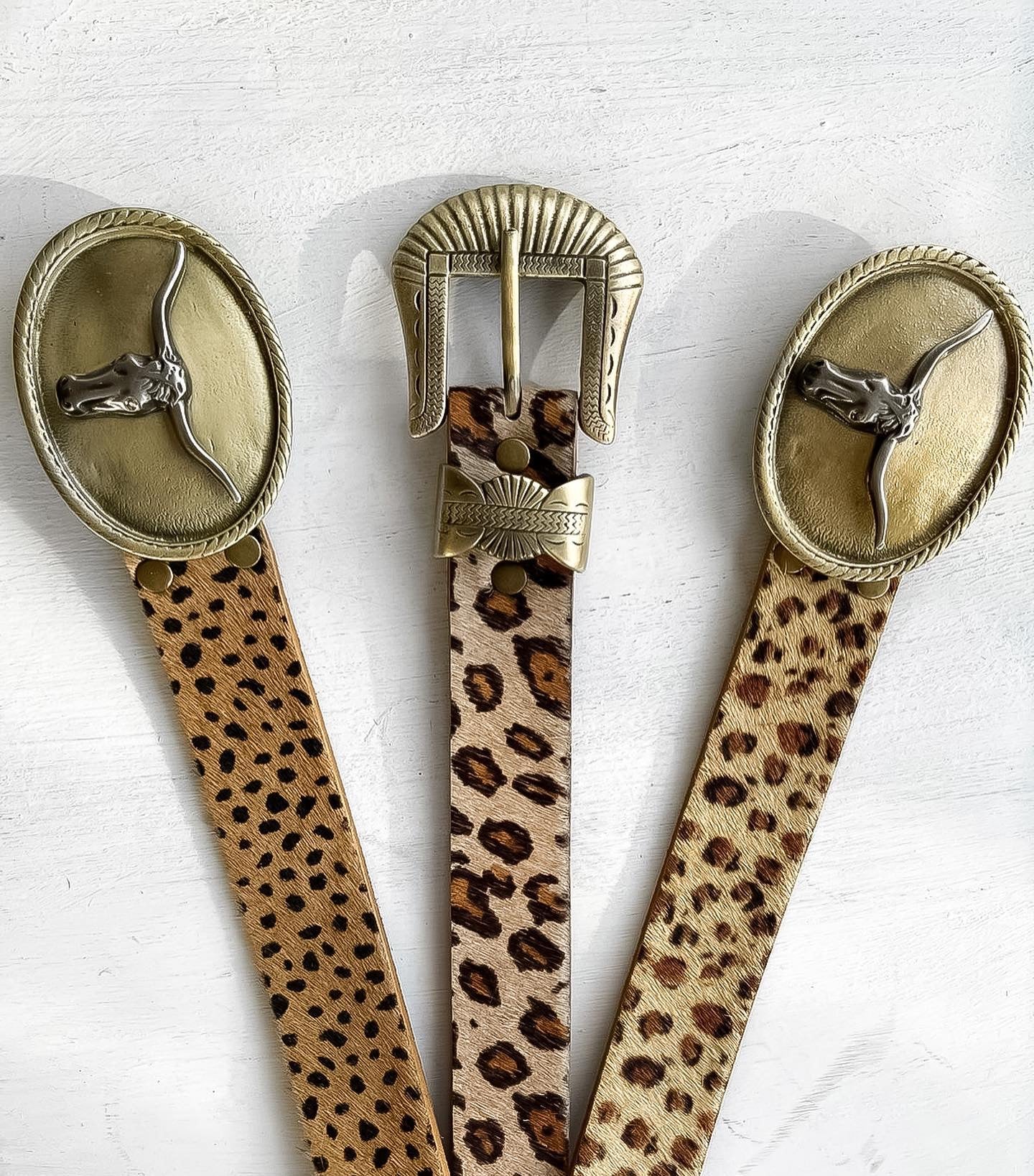 Cinturón toro cheetah