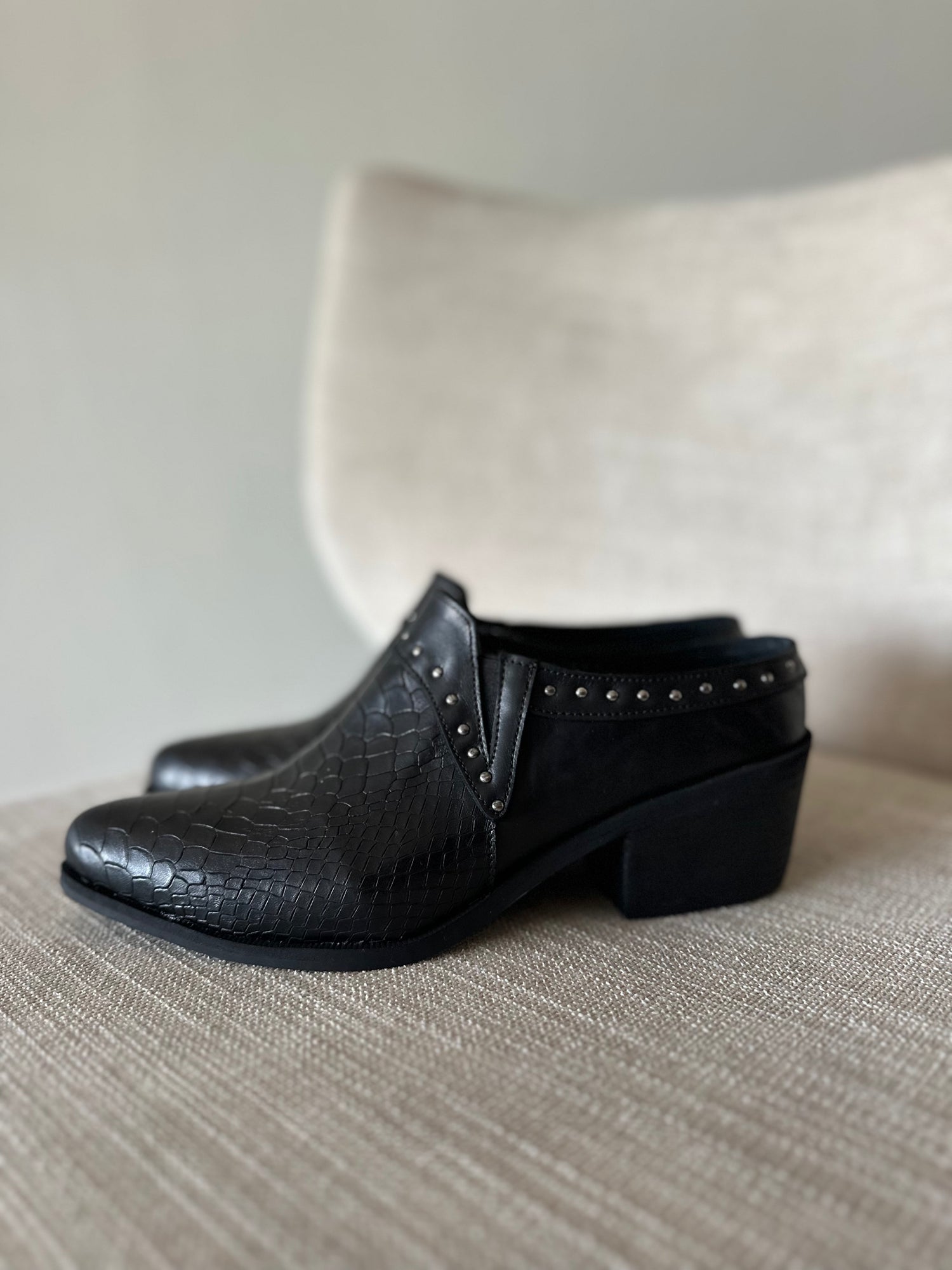 Botin Paris